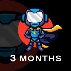 3 Month Access